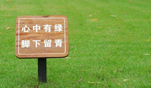 花草牌生產(chǎn)采用的是什么工藝？